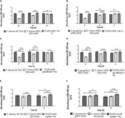 A Two-Way Road: Antagonistic Interaction Between Dual-Species Biofilms Formed by Candida albicans/Candida parapsilosis and Trichophyton rubrum